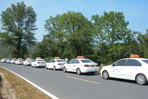 路上排成一列的教练车